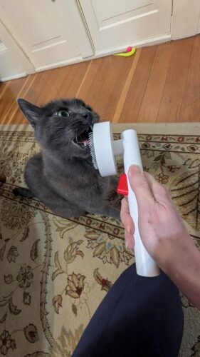 Cat comb pet grooming brush Simple design Pet Hair Cleaner Brush photo review