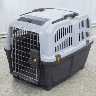 Pet Carrier