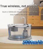 radar sensing cat fountain