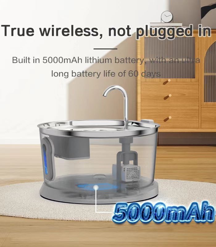 radar sensing cat fountain