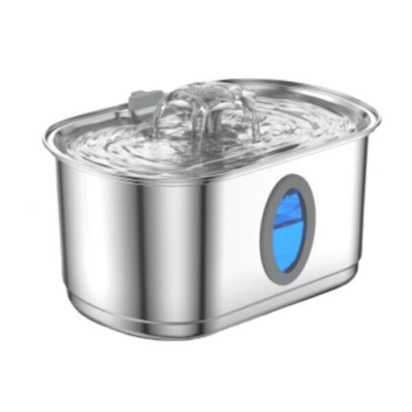 dog drinking fountain