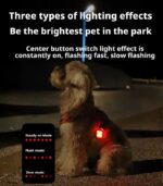 mini pet LED night walking light