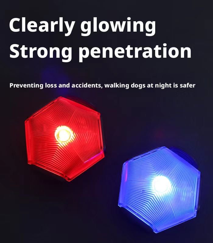pet led walking light