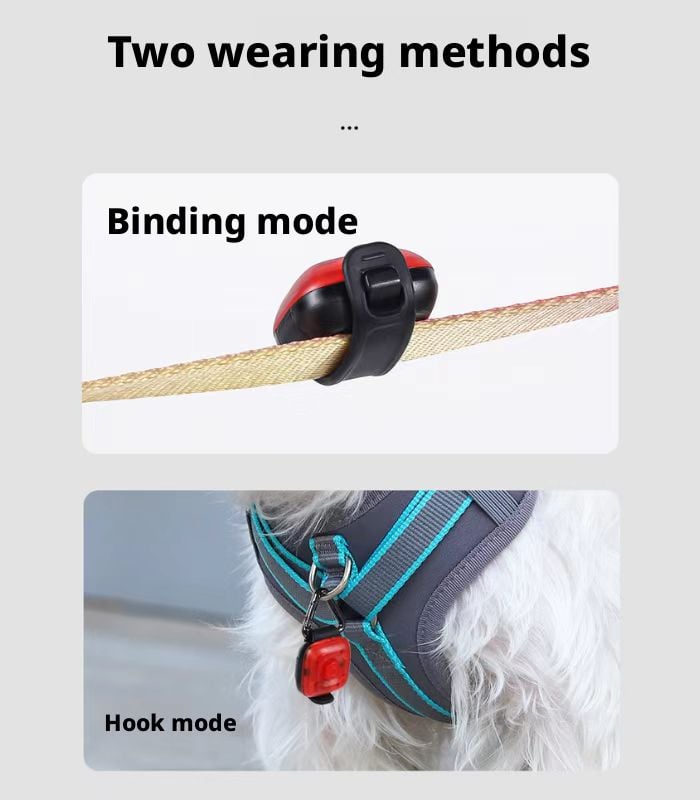 mini pet LED night walking light