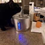 2.2L pet water feeder 75oz affordable for small pets photo review