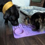 Food-Grade Silicone Pet Slow Feeding Mat with bowl Lick Mat Set photo review