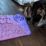 Food-Grade Silicone Pet Slow Feeding Mat with bowl Lick Mat Set photo review