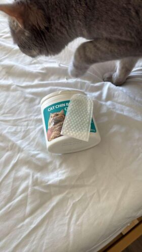 Cat Chin Blackhead Clean Wipes 50pcs/box Easy Clean photo review