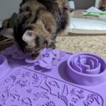 Food-Grade Silicone Pet Slow Feeding Mat with bowl Lick Mat Set photo review