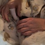 Largest Pet Dental Finger Wipes 50pcs photo review