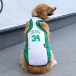 No.34 Celtics