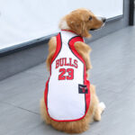 No.23 Bulls