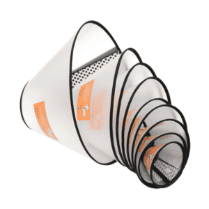 Elizabethan Collar